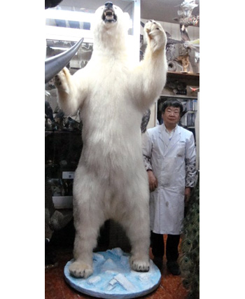 白熊（北極熊）特大